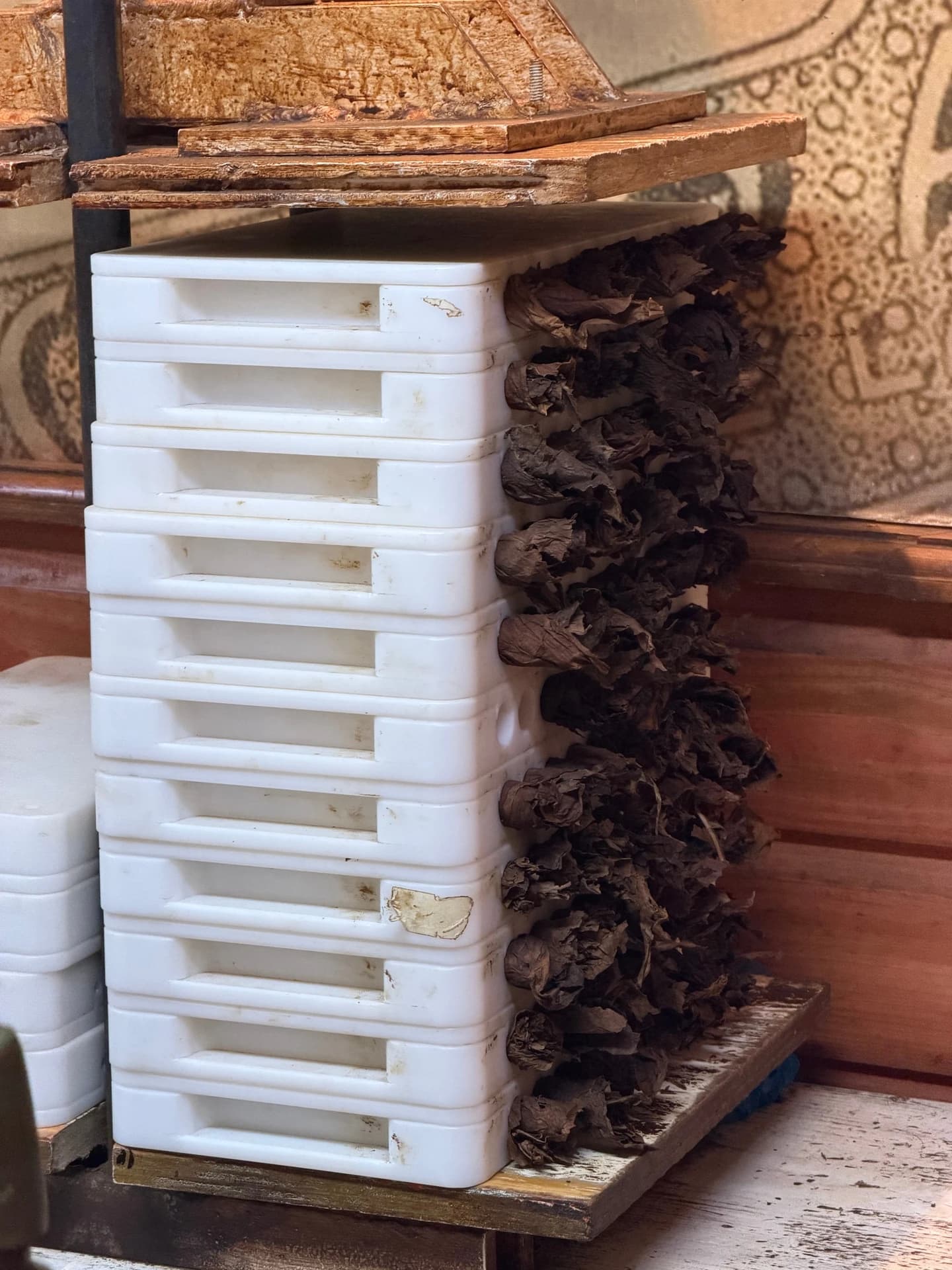 Arturo Fuente Factory Visit | ProCigar 2026 — photo 8