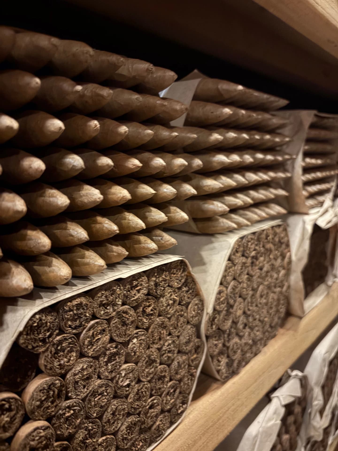 Arturo Fuente Factory Visit | ProCigar 2026 — photo 70