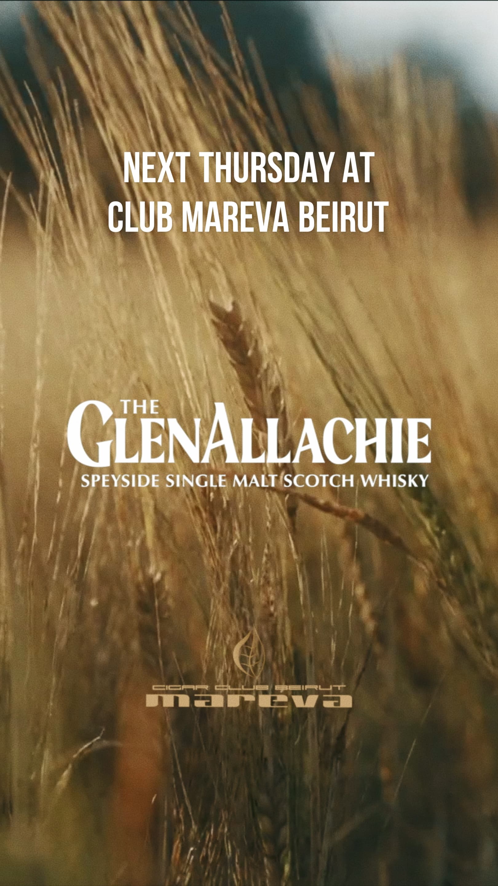 The GlenAllachie Tasting at Club Mareva Beirut