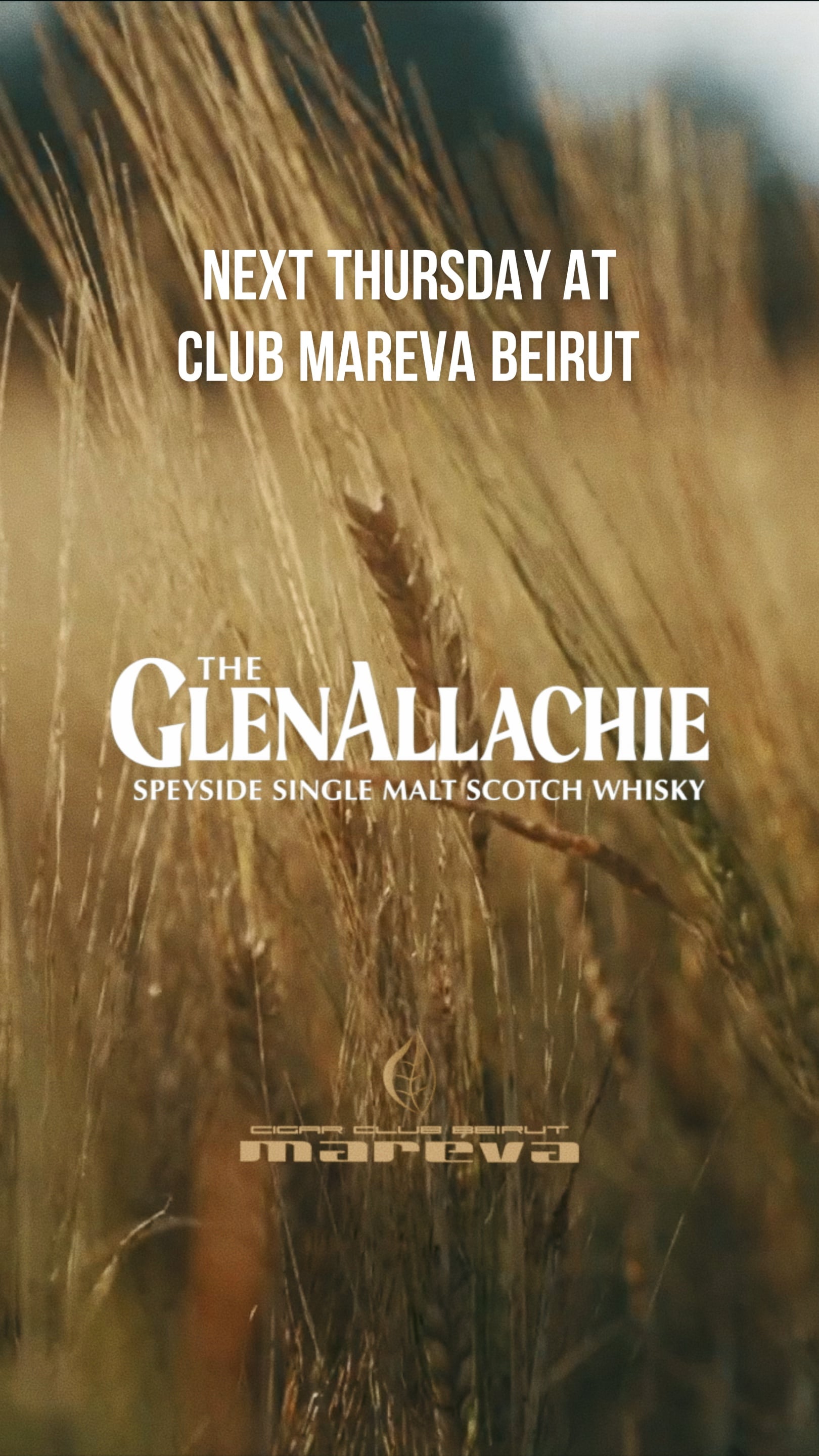 The GlenAllachie Tasting at Club Mareva Beirut